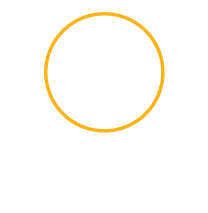 Joints and bones